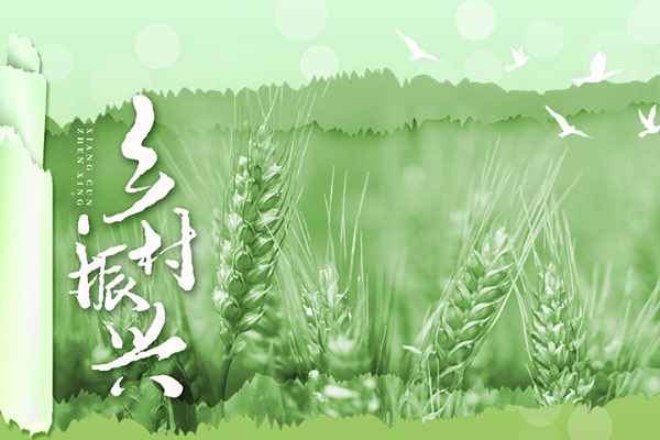 沈陽市人民政府辦公室關于印發沈陽市2023年工程建設項目審批制度改革實施方案的通知（沈政辦發〔2023〕12號）